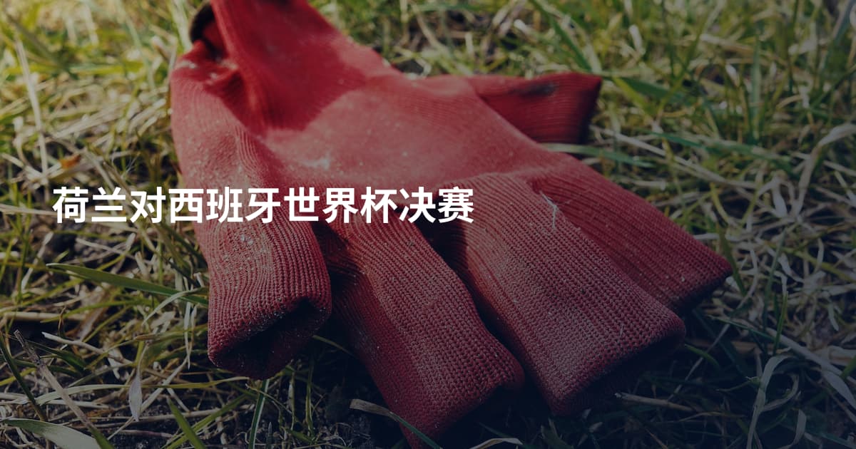 荷兰对西班牙世界杯决赛