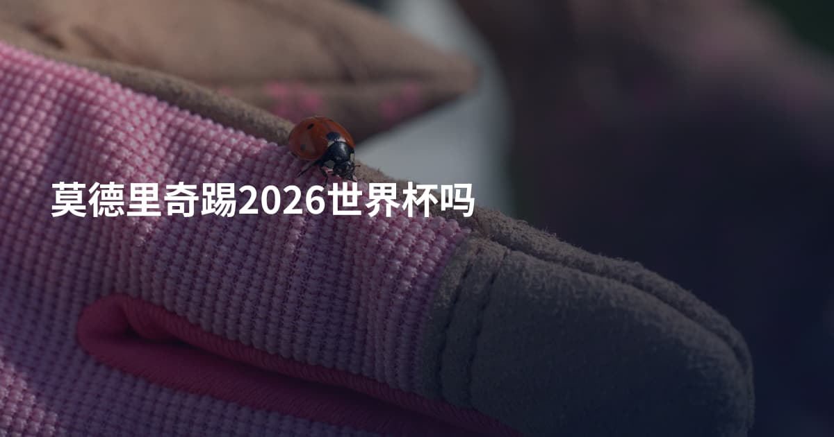 莫德里奇踢2026世界杯吗