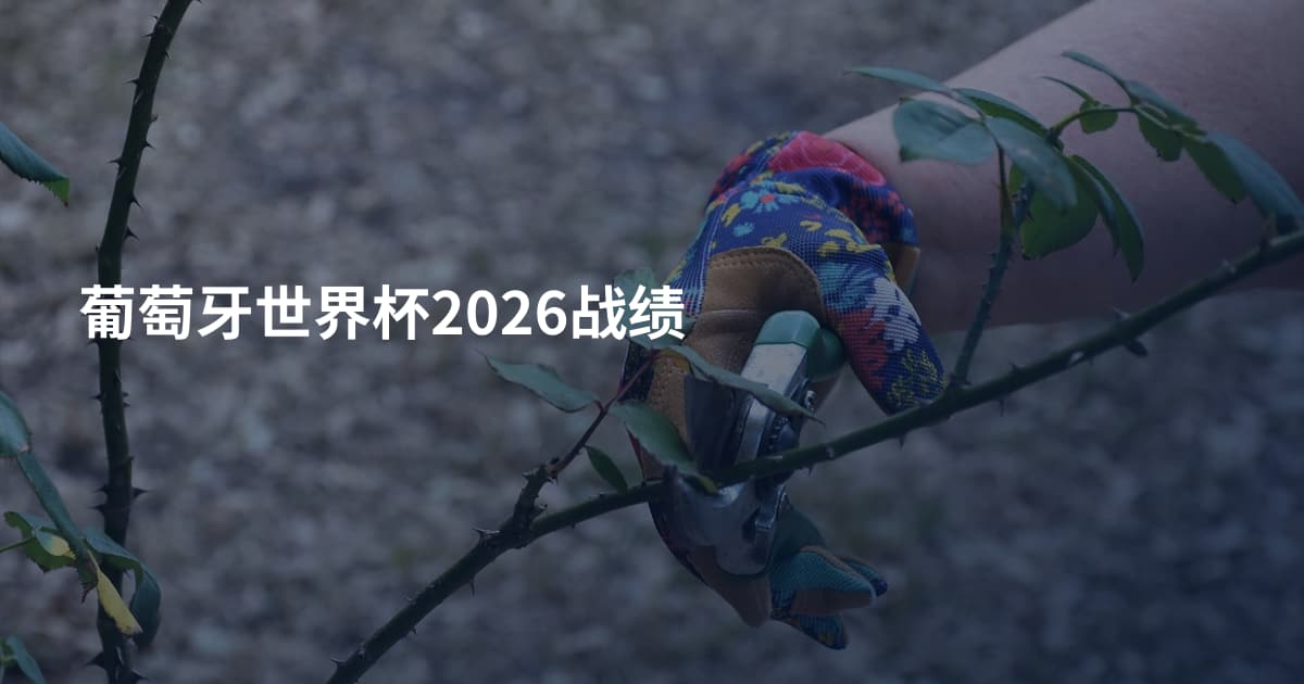 葡萄牙世界杯2026战绩