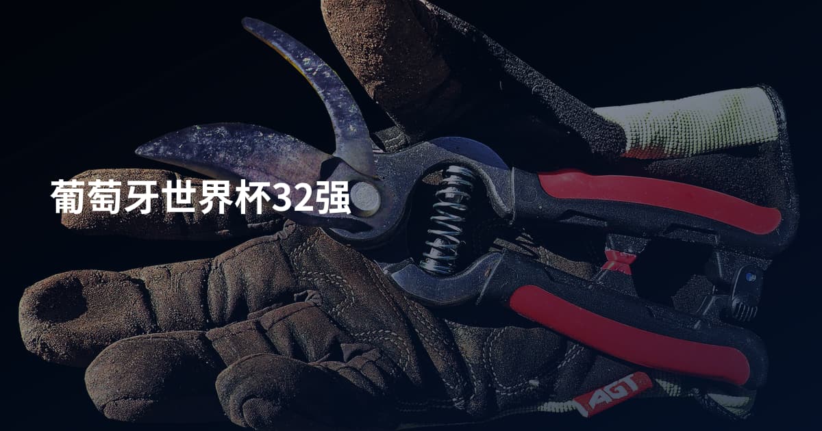 葡萄牙世界杯32强