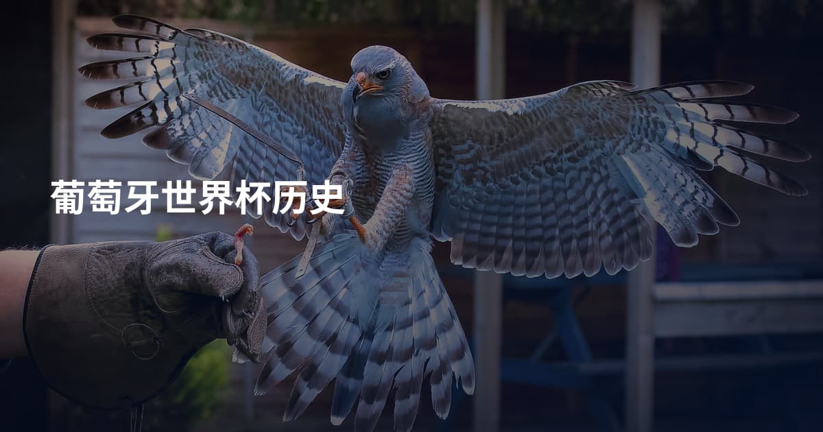 葡萄牙世界杯历史