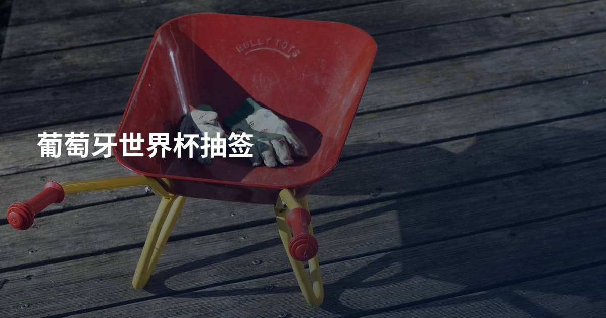 葡萄牙世界杯抽签