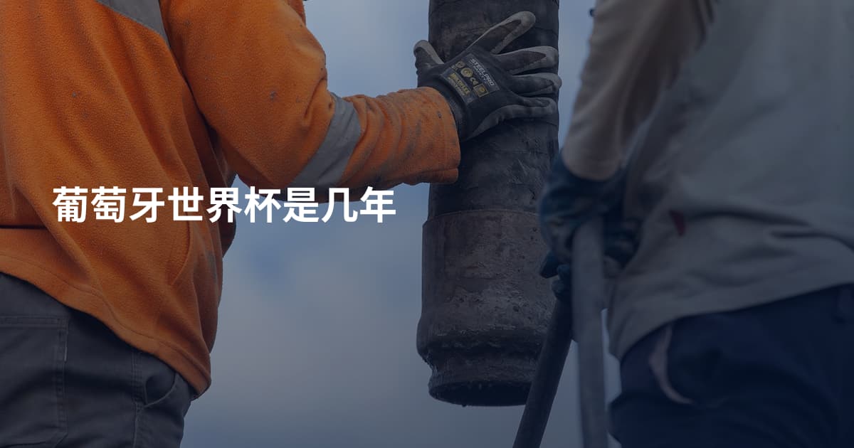 葡萄牙世界杯是几年