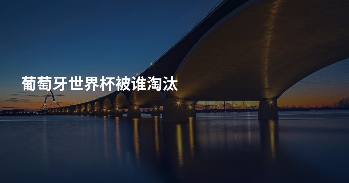 葡萄牙世界杯被谁淘汰