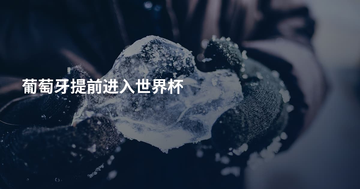 葡萄牙提前进入世界杯
