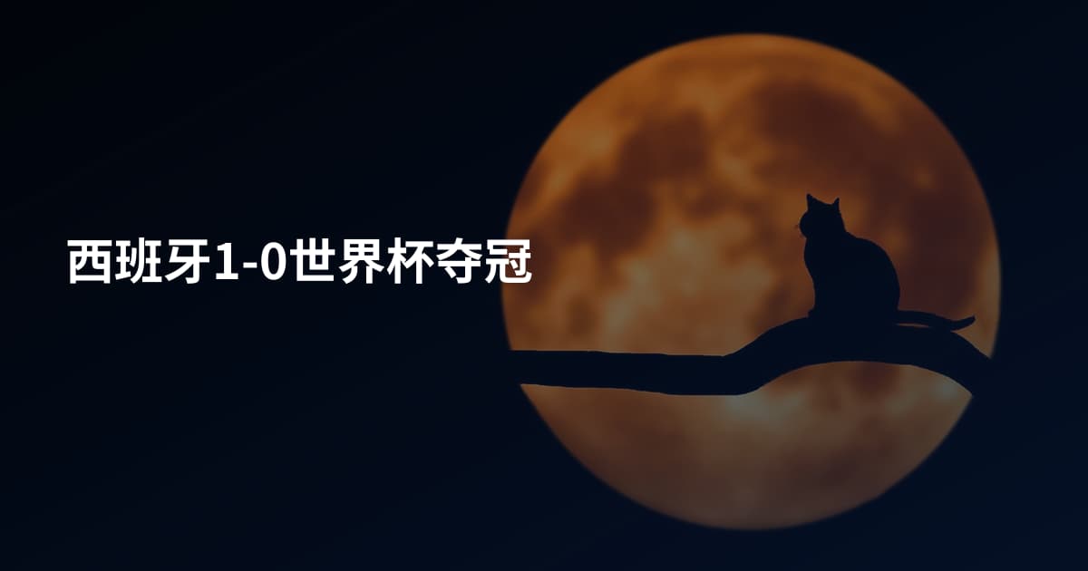 西班牙1-0世界杯夺冠