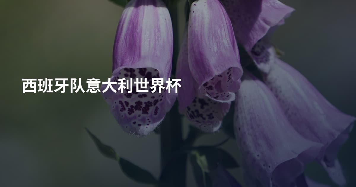 西班牙队意大利世界杯