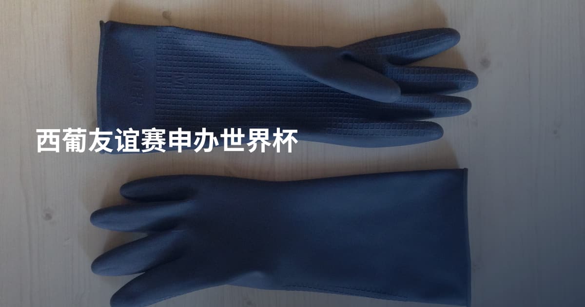 西葡友谊赛申办世界杯