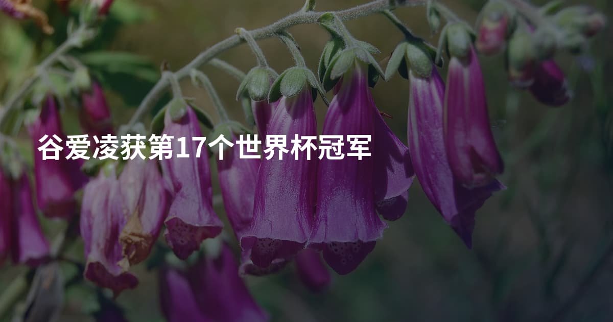 谷爱凌获第17个世界杯冠军