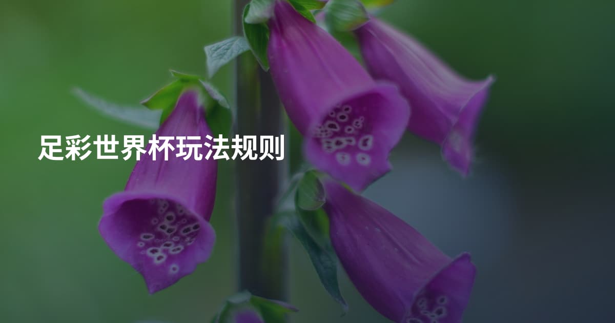 足彩世界杯玩法规则