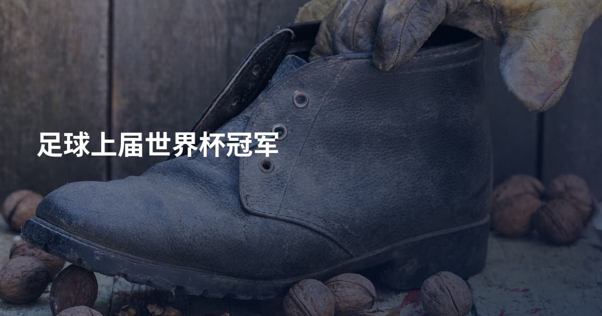 足球上届世界杯冠军