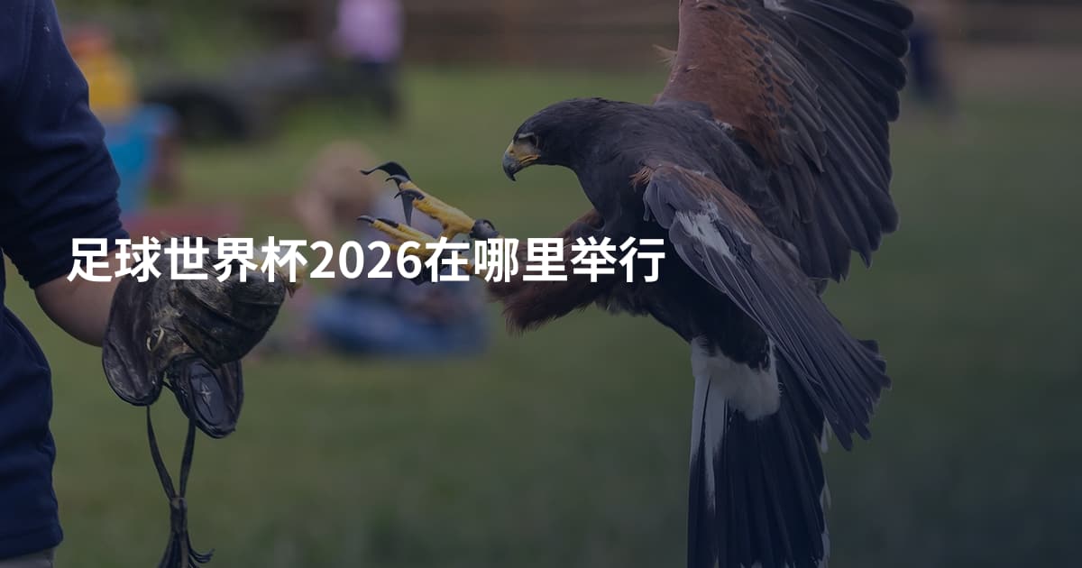 足球世界杯2026在哪里举行