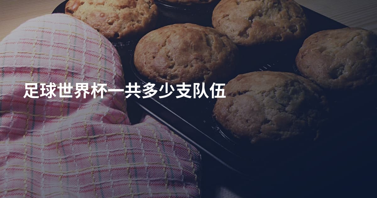 足球世界杯一共多少支队伍