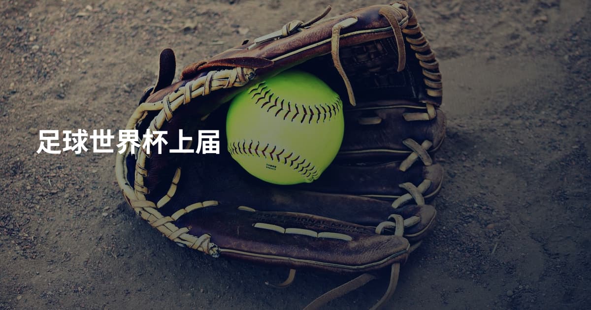 足球世界杯上届