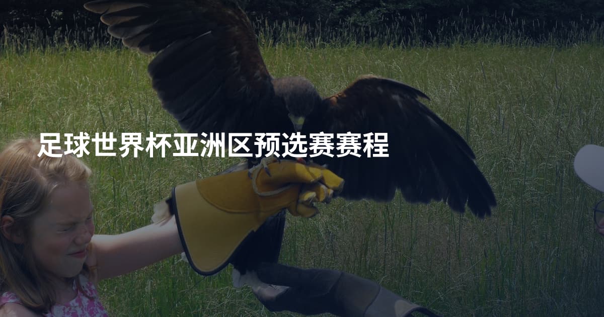 足球世界杯亚洲区预选赛赛程