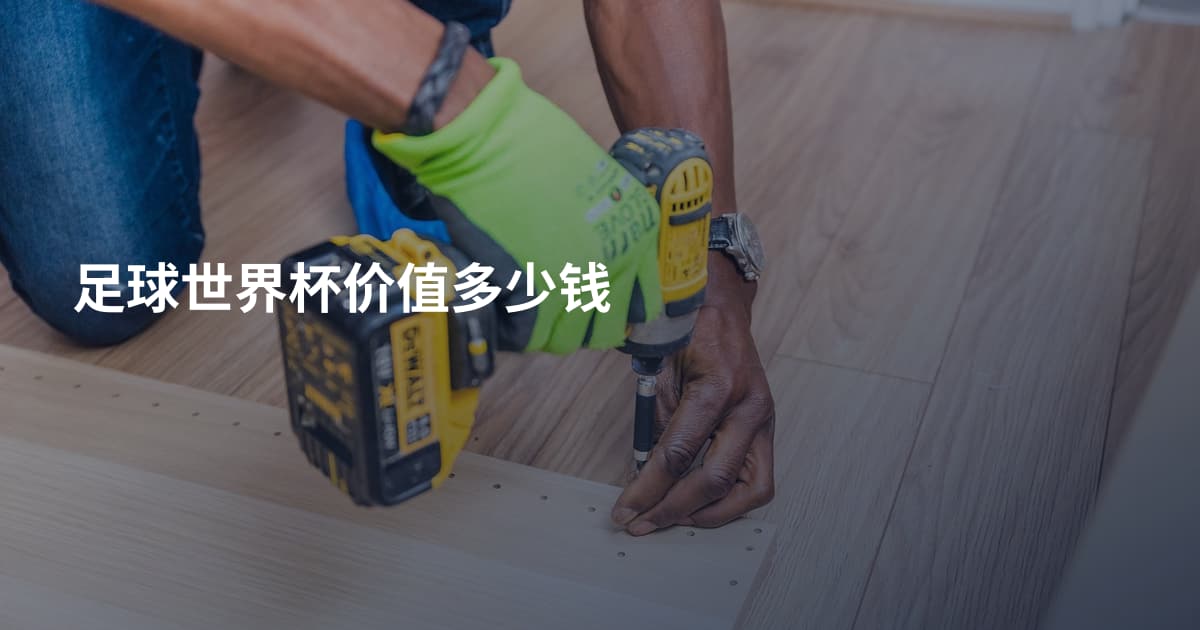足球世界杯价值多少钱