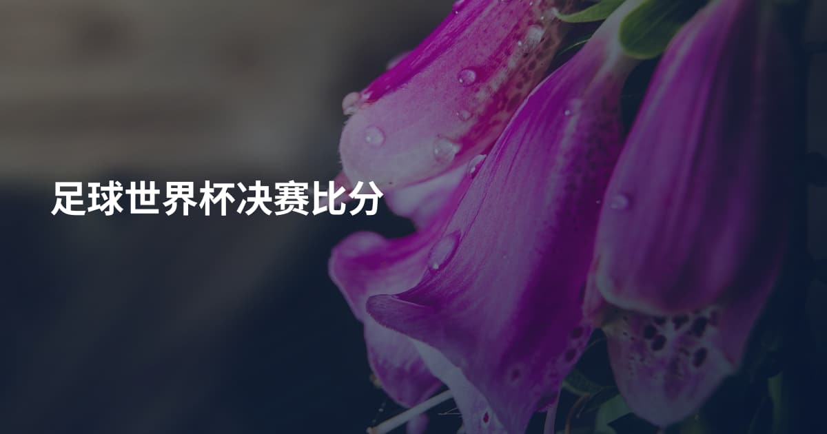 足球世界杯决赛比分