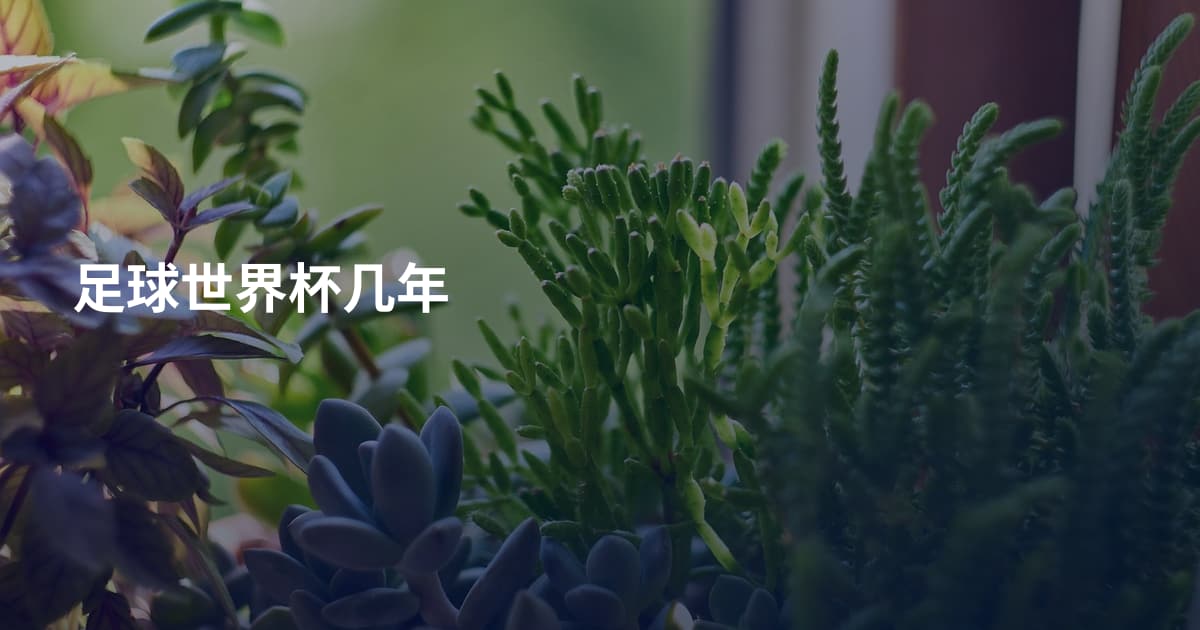足球世界杯几年