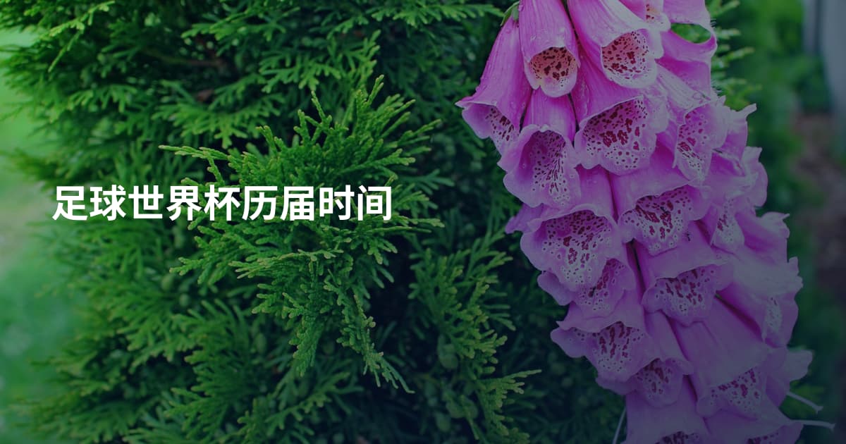 足球世界杯历届时间