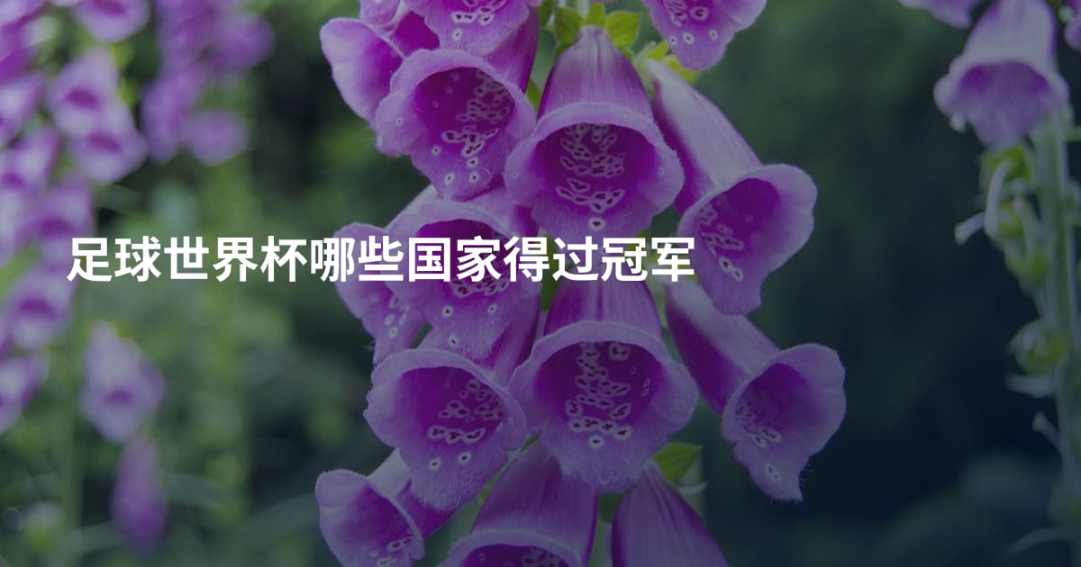 足球世界杯哪些国家得过冠军