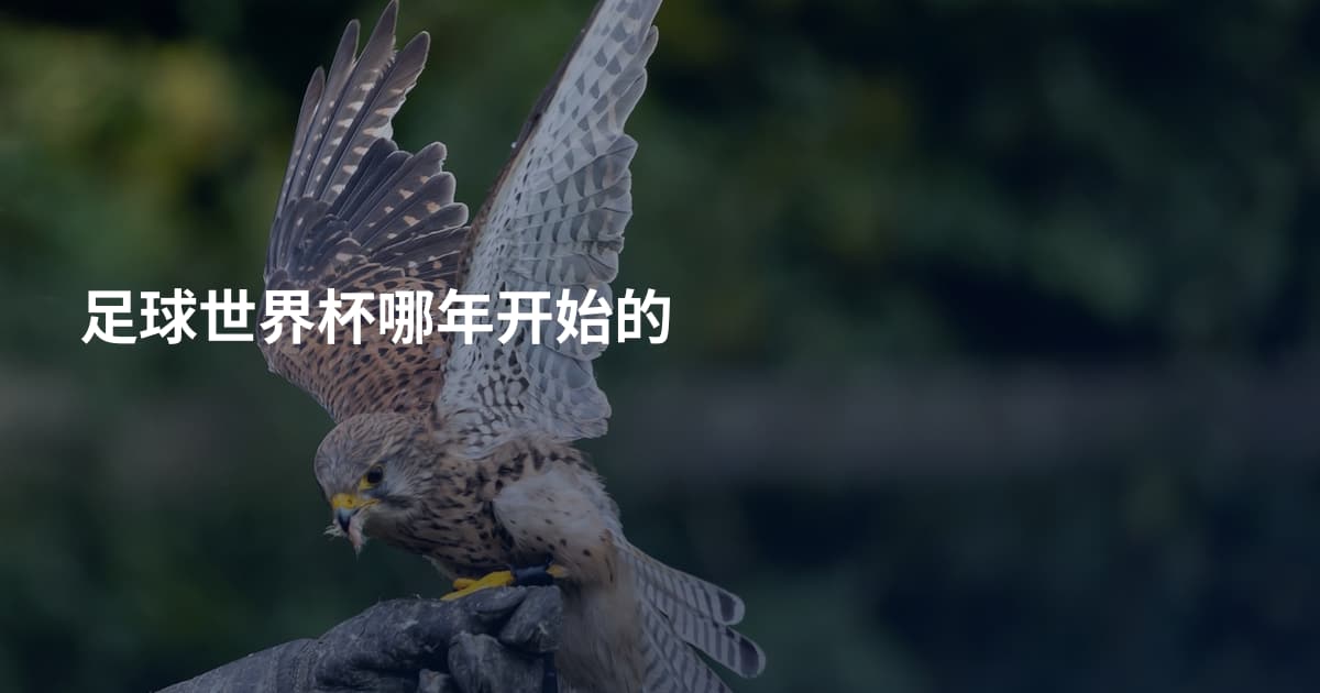足球世界杯哪年开始的