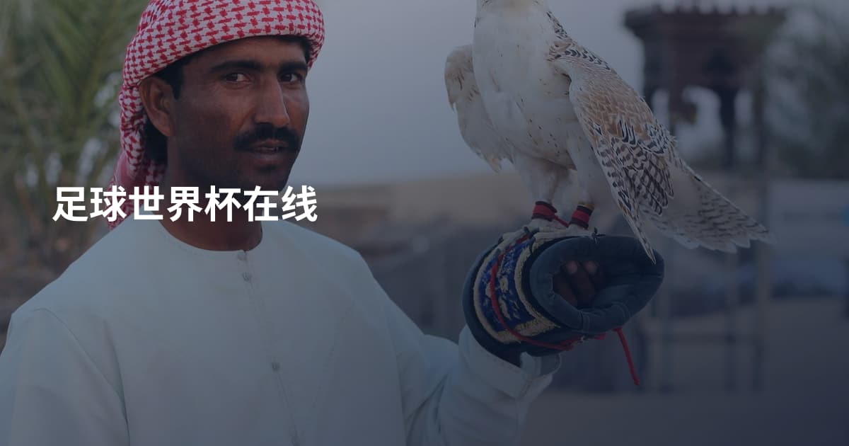 足球世界杯在线