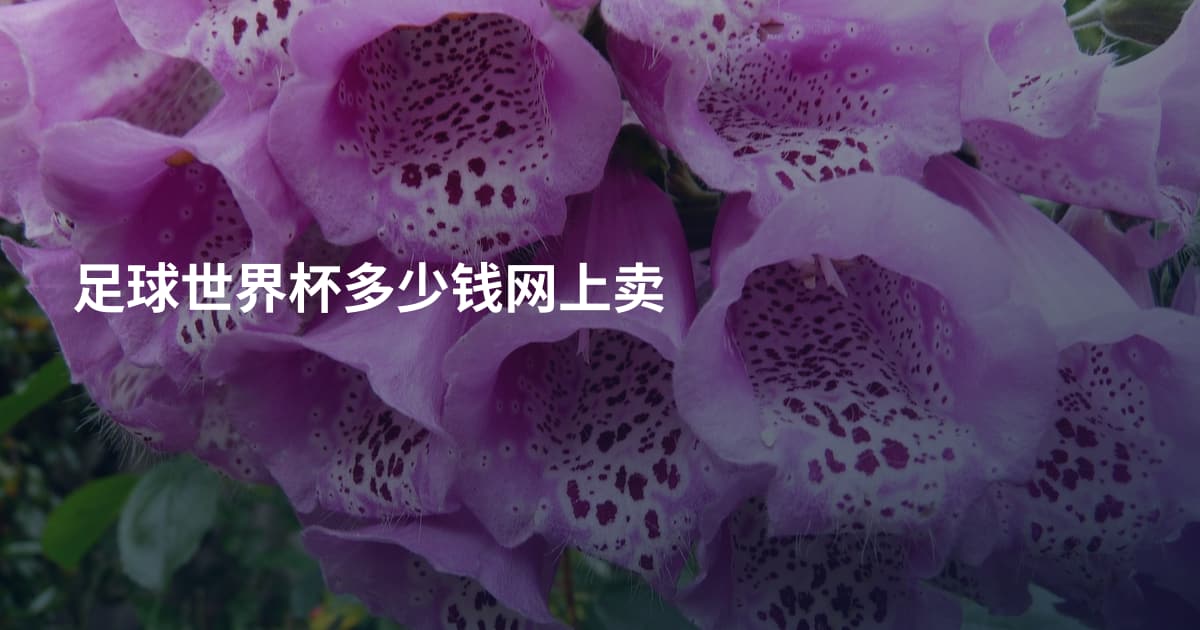足球世界杯多少钱网上卖