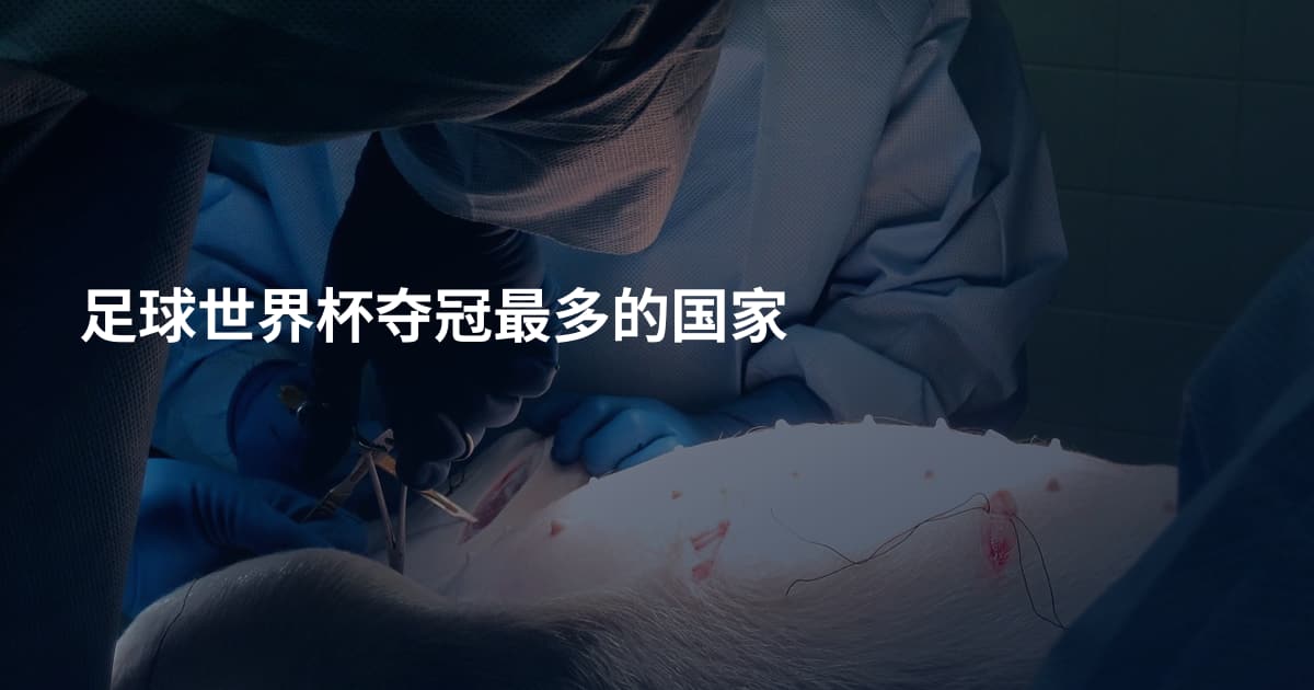足球世界杯夺冠最多的国家