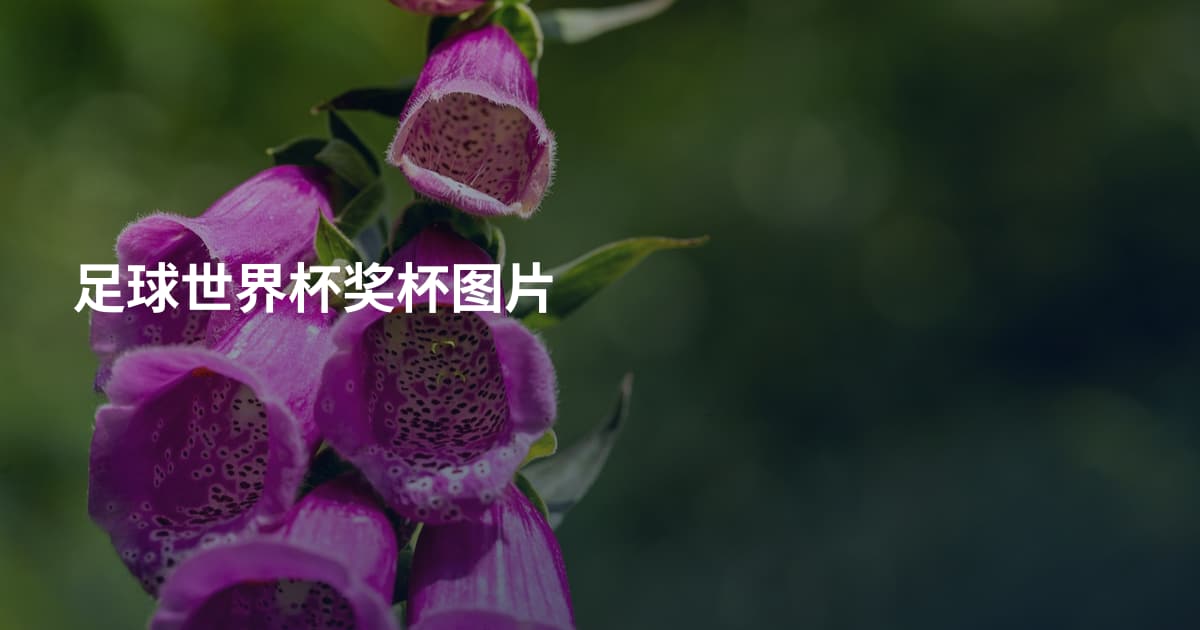 足球世界杯奖杯图片