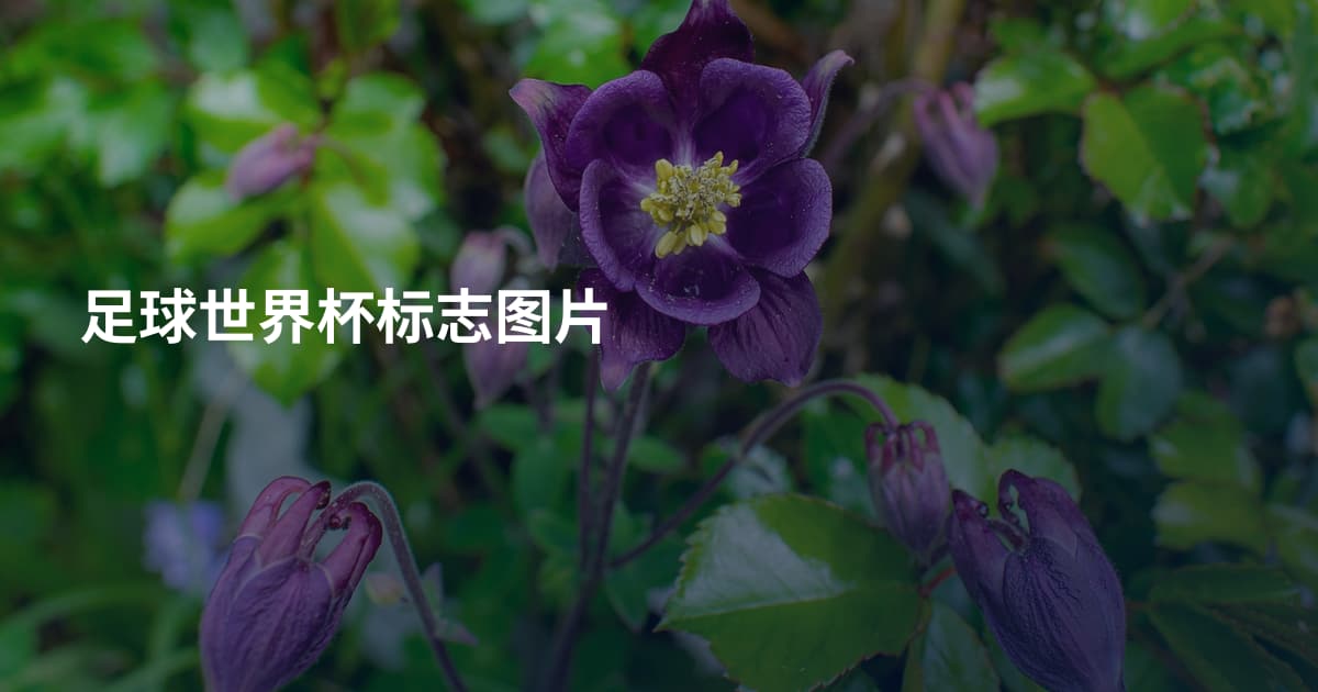 足球世界杯标志图片