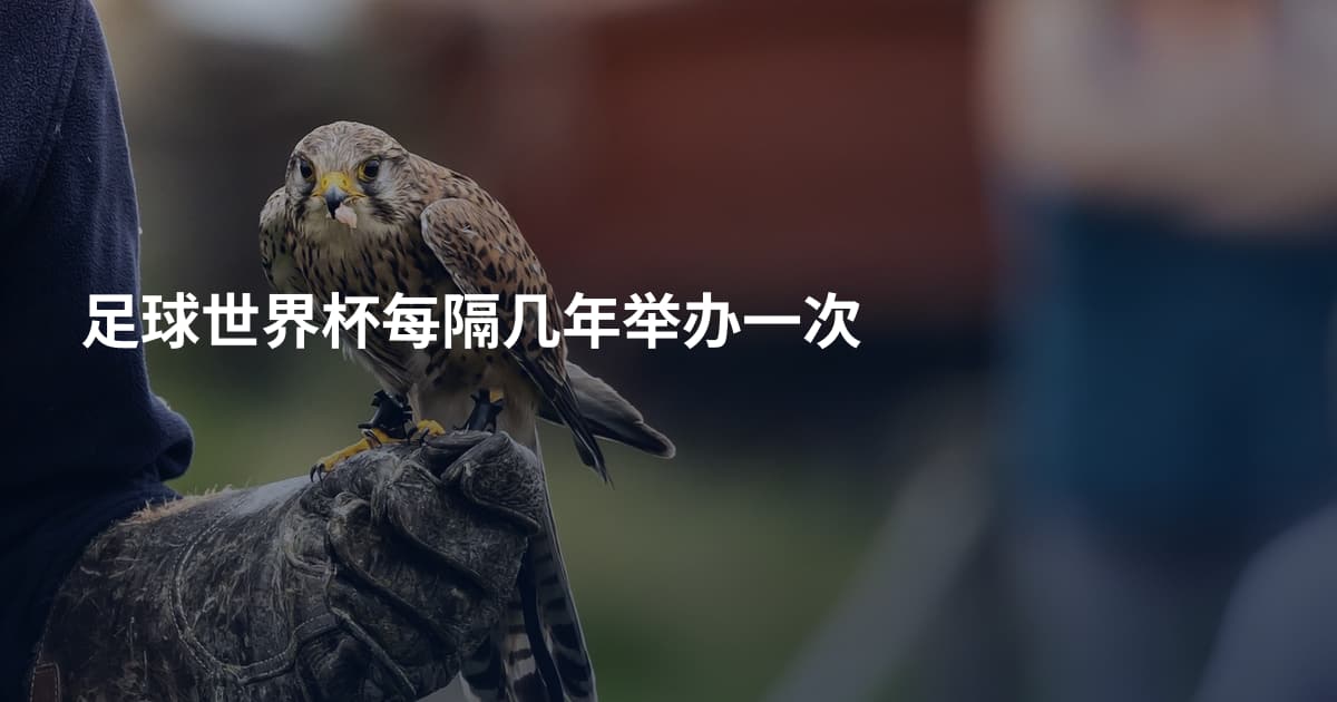足球世界杯每隔几年举办一次