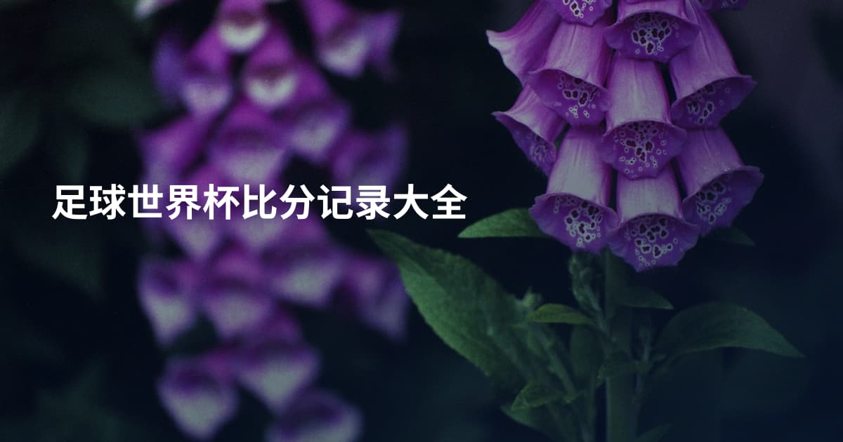 足球世界杯比分记录大全