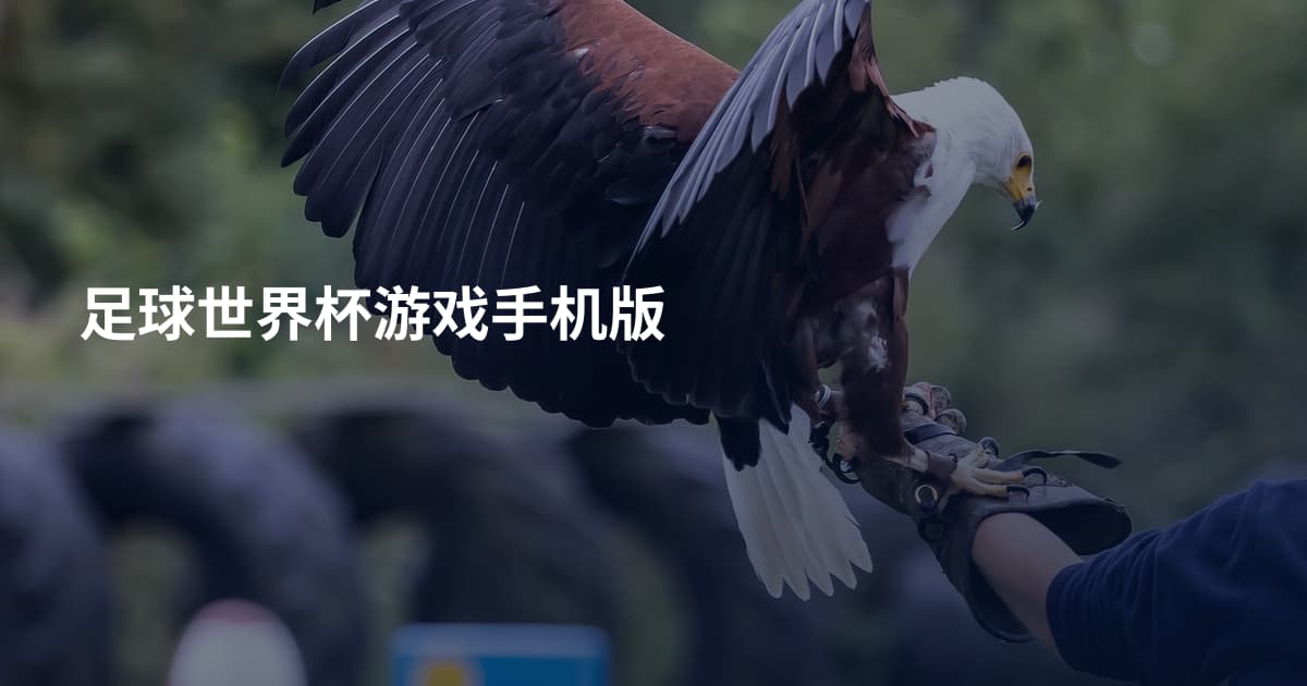 足球世界杯游戏手机版