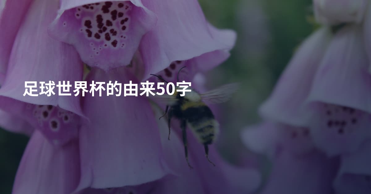足球世界杯的由来50字