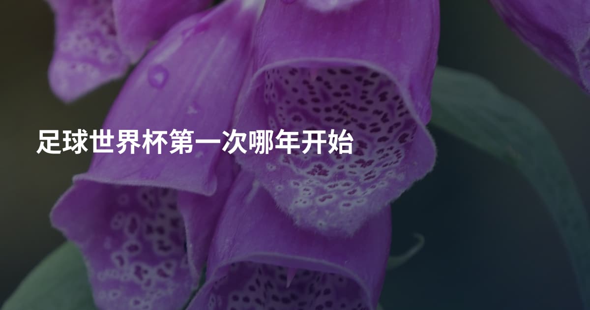 足球世界杯第一次哪年开始