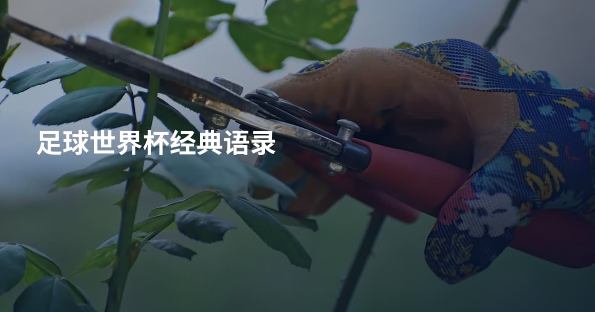足球世界杯经典语录