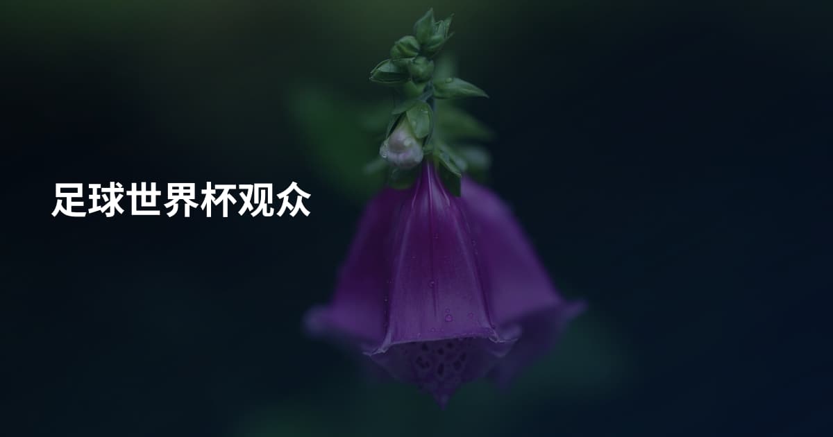 足球世界杯观众