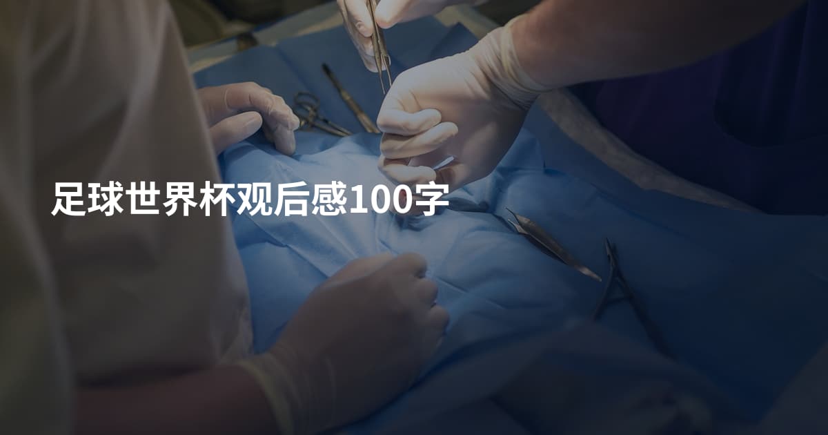 足球世界杯观后感100字