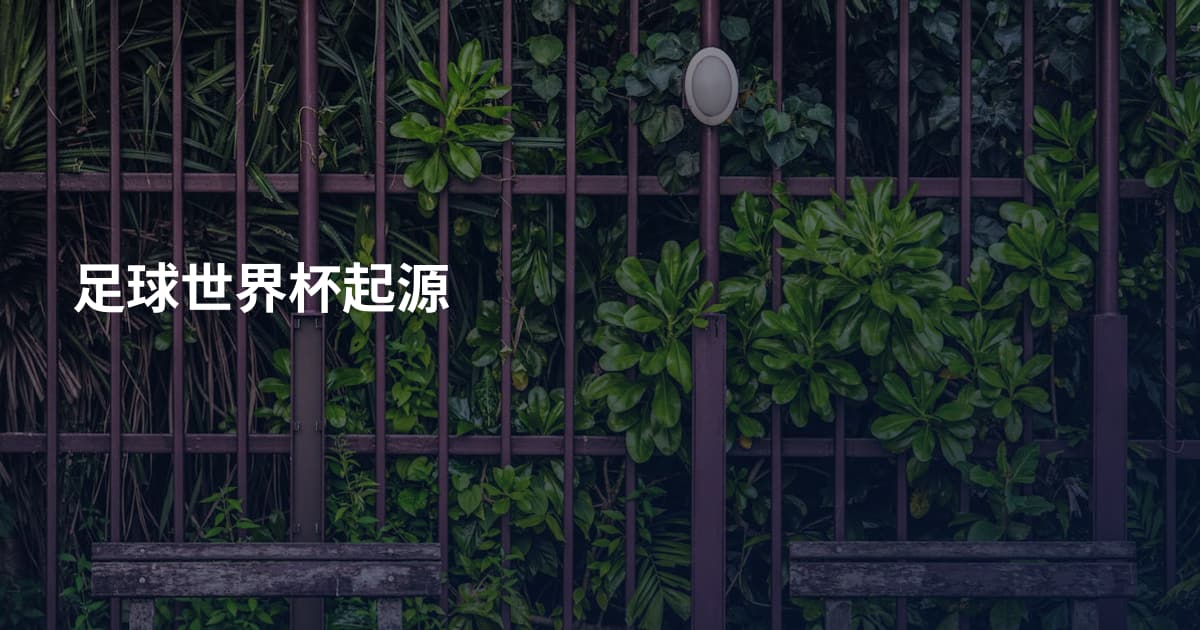 足球世界杯起源
