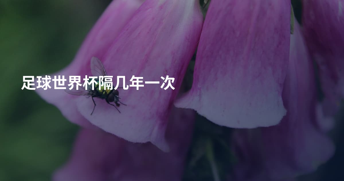 足球世界杯隔几年一次