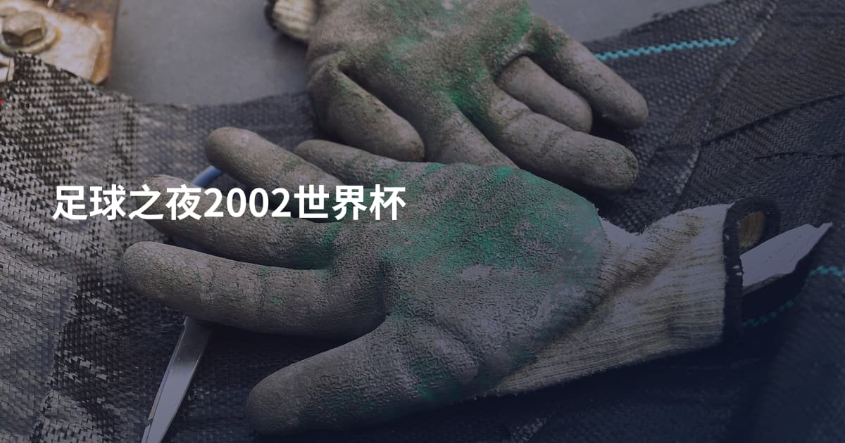 足球之夜2002世界杯