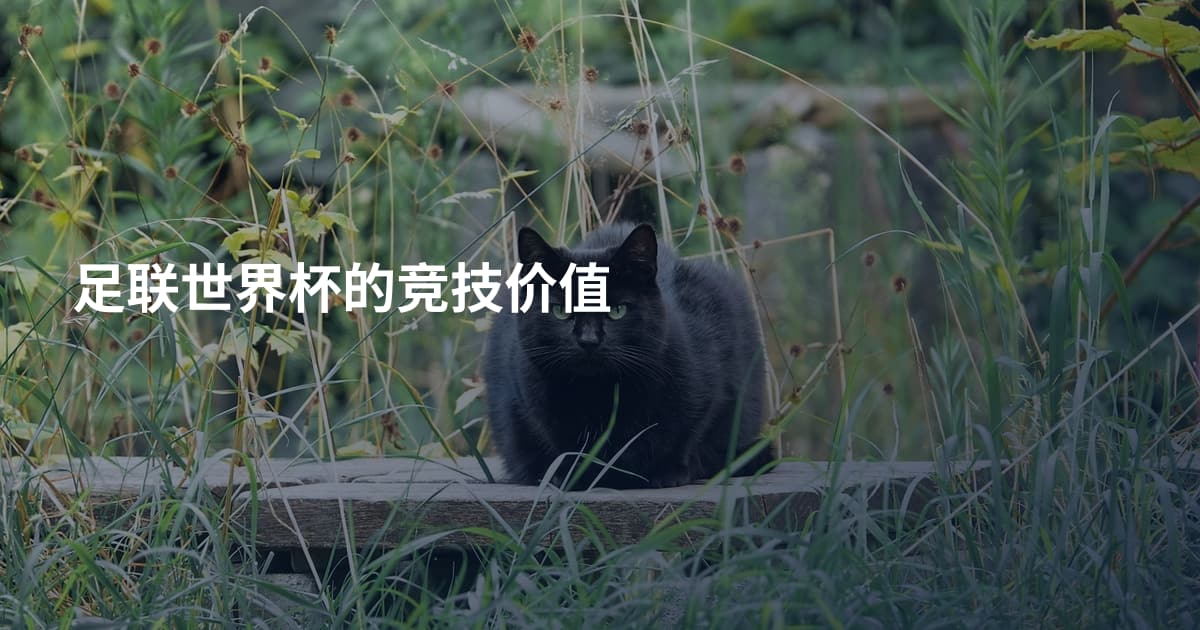 足联世界杯的竞技价值