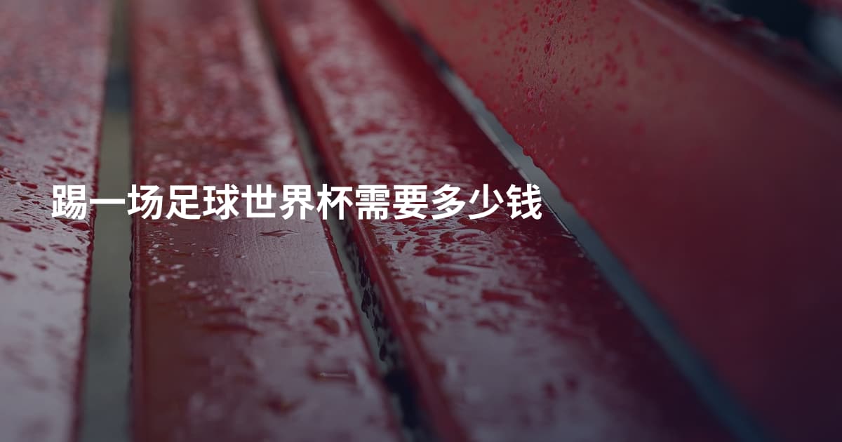 踢一场足球世界杯需要多少钱