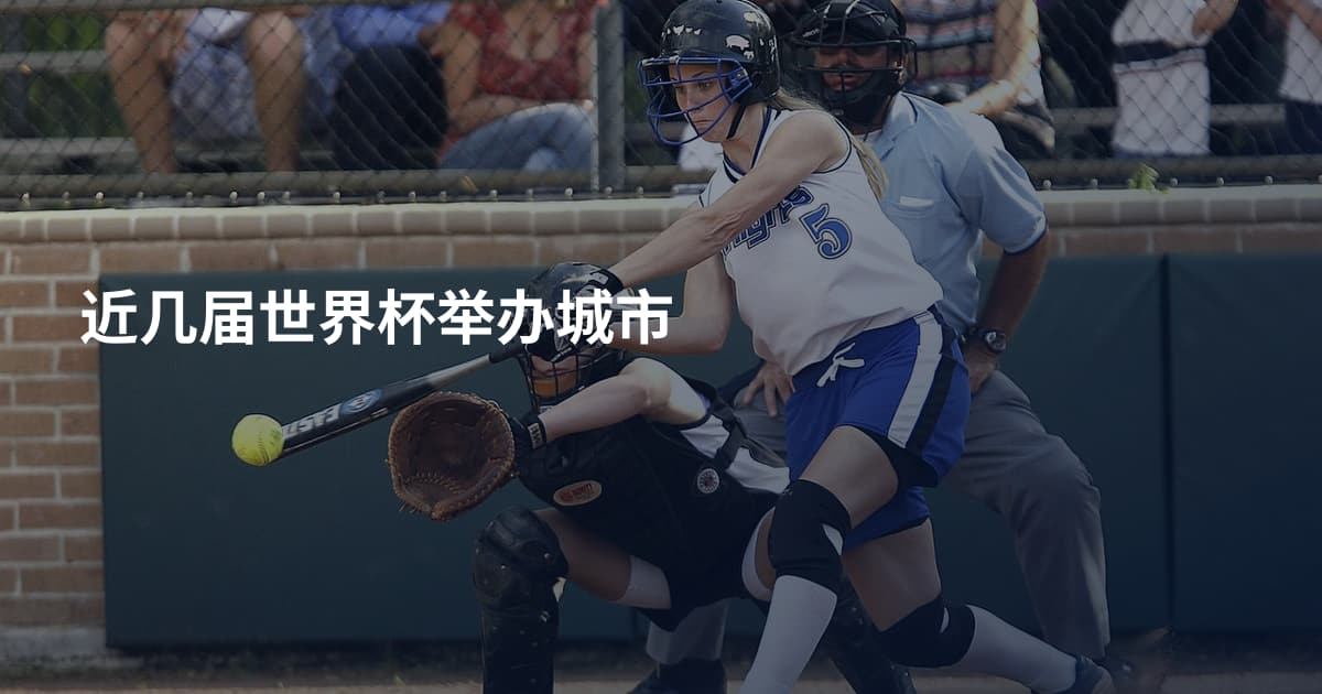 近几届世界杯举办城市
