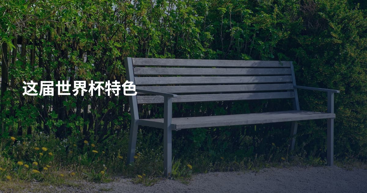 这届世界杯特色