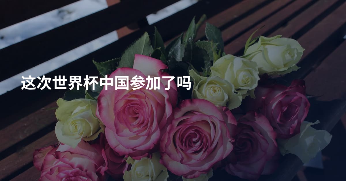 这次世界杯中国参加了吗