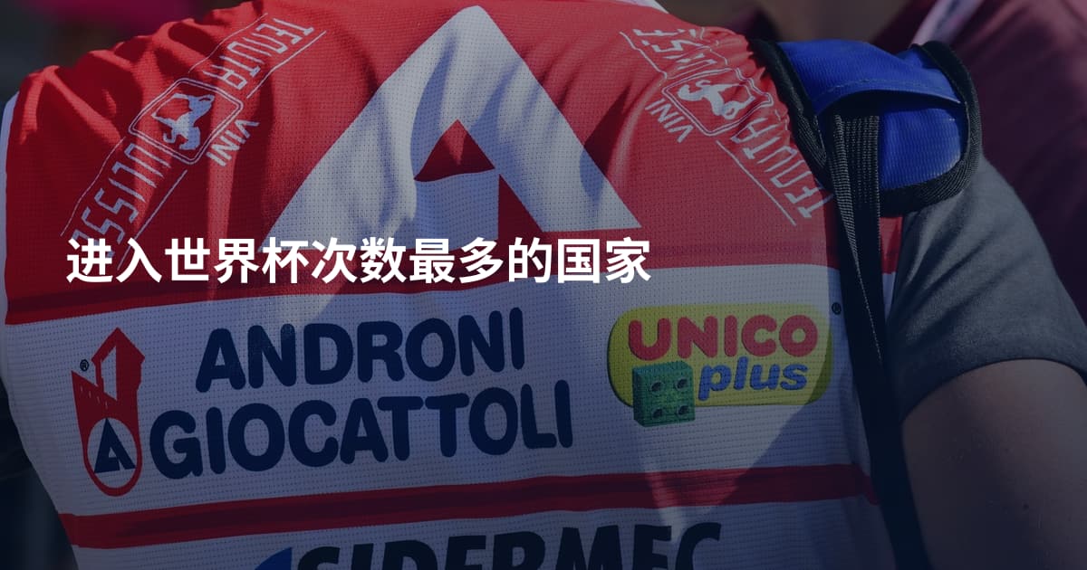 进入世界杯次数最多的国家