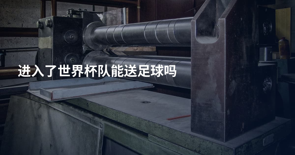 进入了世界杯队能送足球吗