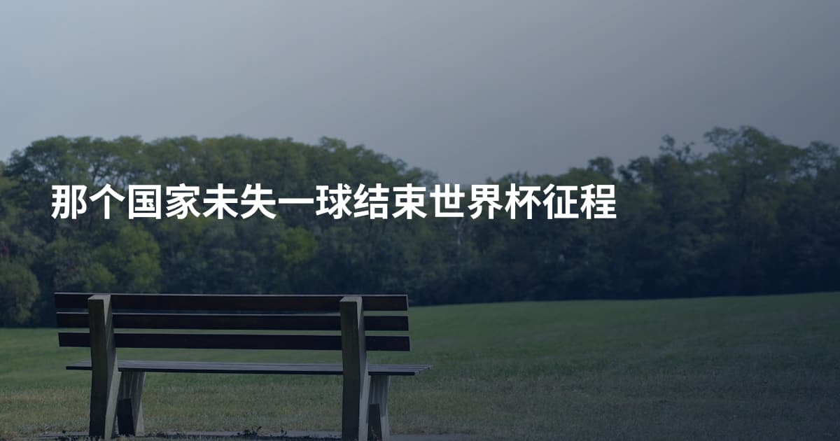 那个国家未失一球结束世界杯征程
