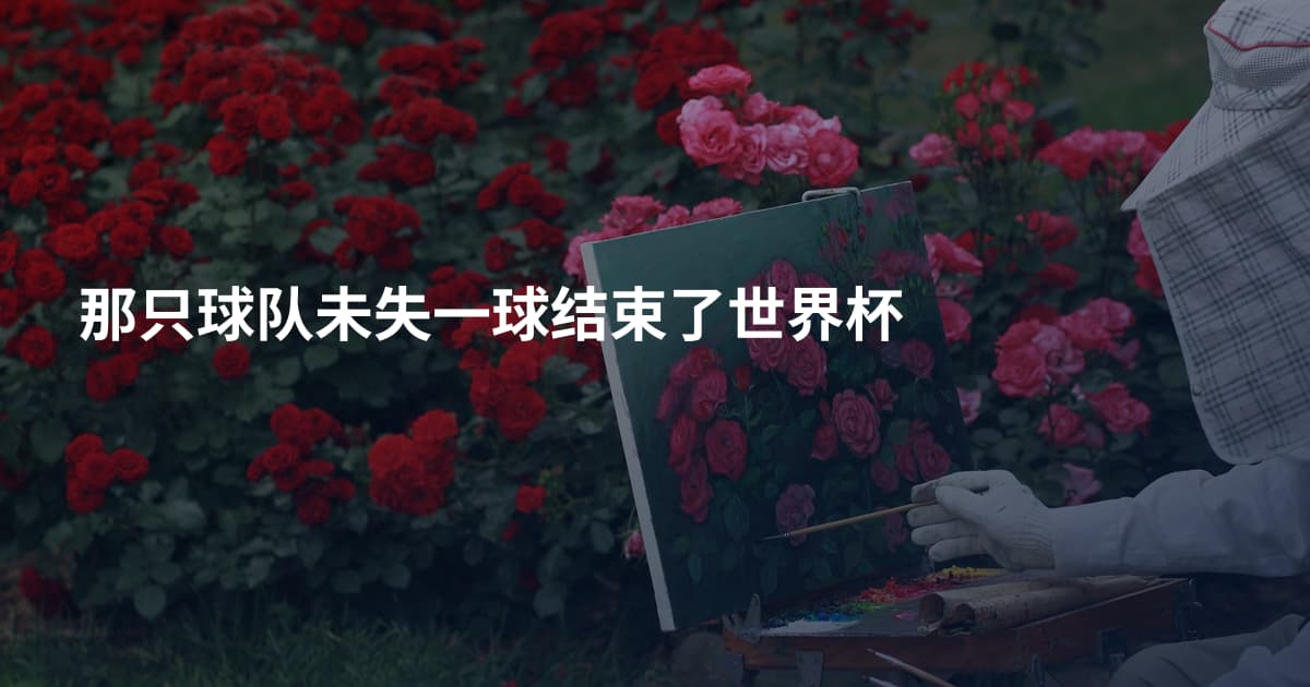 那只球队未失一球结束了世界杯